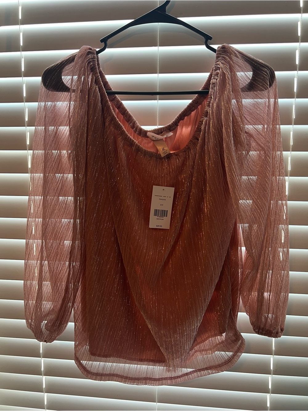 Sheer Sparkle Puff-Sleeve Blouse - Dusty Rose